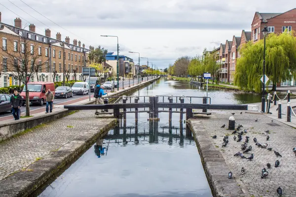 Portobello